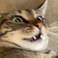 User profile image