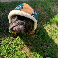 User profile image
