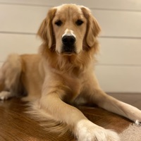 User profile