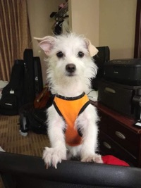 User profile image