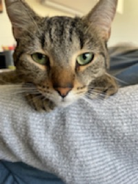 Max