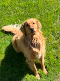User profile image