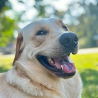 User profile