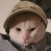 User profile image
