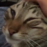 Yes