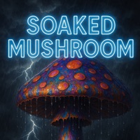 Soaked Mushroom