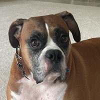 Jack