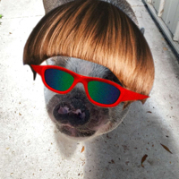 Charlie Albert