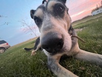 Sam