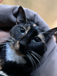 User profile image