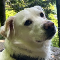 Marley Waldo