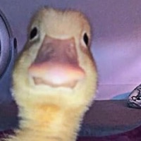 User profile image