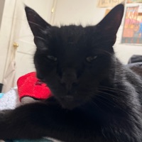 Ruckus The *uckus