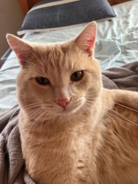 Gabriel