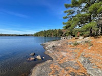 Mwalden0129