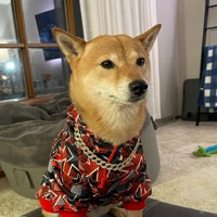 User profile image