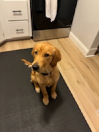 Erik