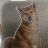 User profile image