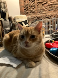 User profile image