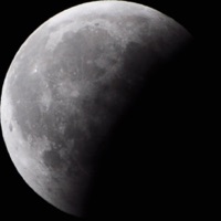 Nicholas Searcy