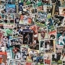 Wild Curtis’s Cards Shop