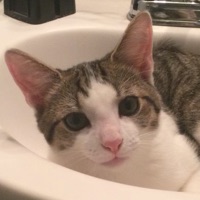 User profile image