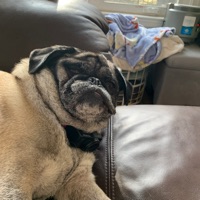 Ethan