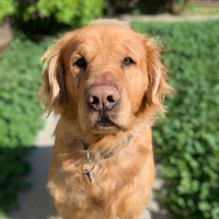 User profile image