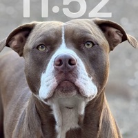 User profile image