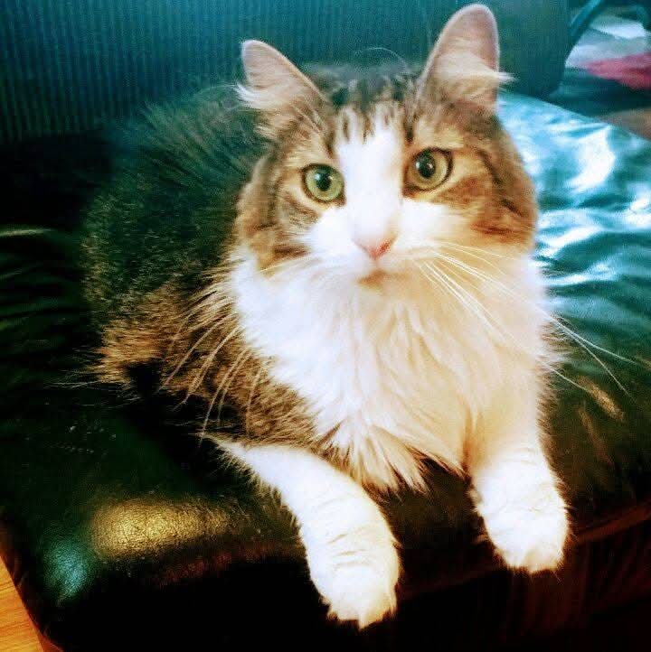 Charles
