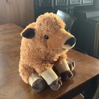 User profile image