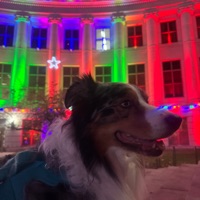 User profile image