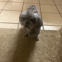Tanner