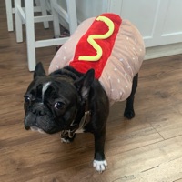 Ford  Wienert