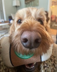 User profile image