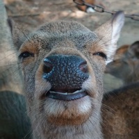 User profile image