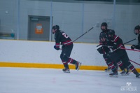 Kaiden turta
