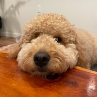 User profile image