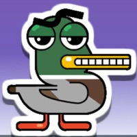 Card Collector 893