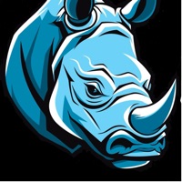 Blue Rhino Sports Cards