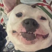 User profile image