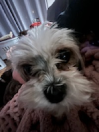 Carter