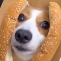 User profile image