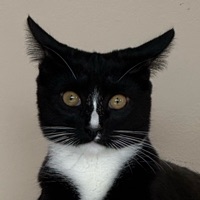 User profile image