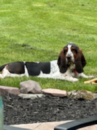 Tanner
