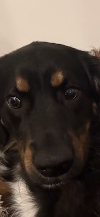 User profile image