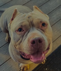 User profile