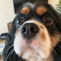 User profile image