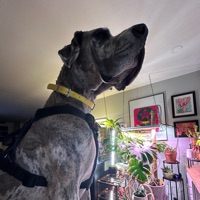 User profile