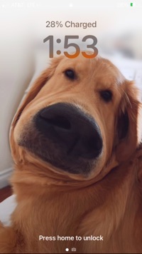 Nixon Gerasimou